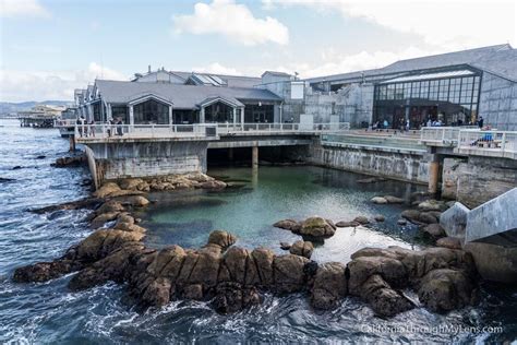 Monterey Bay Aquarium: One of the Best Aquariums in the World - California Through My Lens