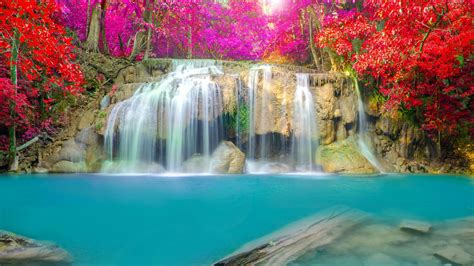 Waterfall Flowers Wallpapers - Top Free Waterfall Flowers Backgrounds ...