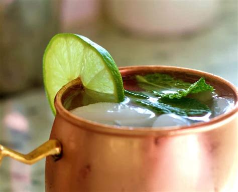 Moscow Mule Vodka Drink Recipe | Homemade Food Junkie