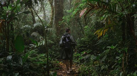 Visiting the Magical Santa Elena Cloud Forest Reserve