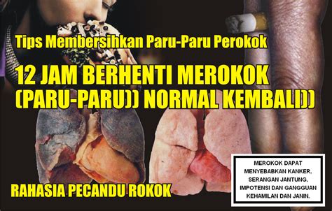 Primbon donit: Tips Membersihkan Paru-Paru Perokok (((12 JAM BERHENTI MEROKOK ((PARU-PARU ...