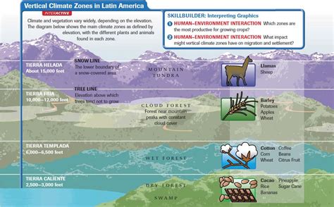 Vertical Climate Zones in Latin America | Latin america, Latin, America