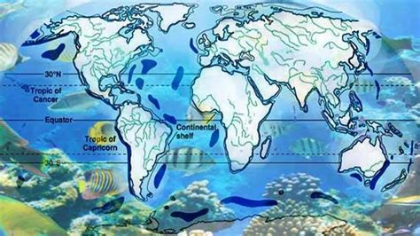 Aquatic Biomes of the World