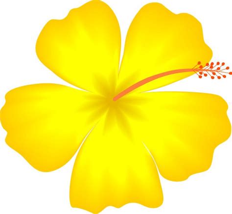 Yellow Hibiscus Hawaii State Flower image - vector clip art online ... - ClipArt Best - ClipArt ...