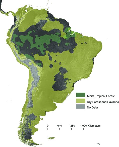 PDF) Vegetation Map Of South America Hugh Eva, Frederic, 41% OFF