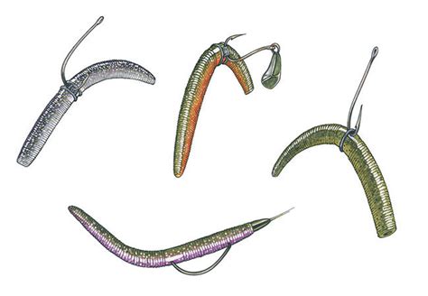 5-inch Senko Rigging Guide - Pro's Choice - Baits.com