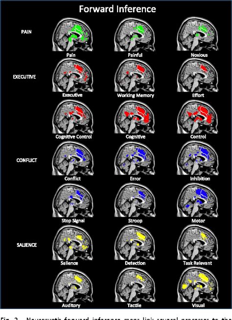 Figure 1 from The dorsal anterior cingulate cortex is selective for pain: Results from large ...