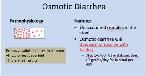 Diarrhea Flashcards | Quizlet