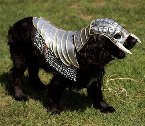 Lebovskiart Fantasy Dog Knight Armor – NoveltyStreet