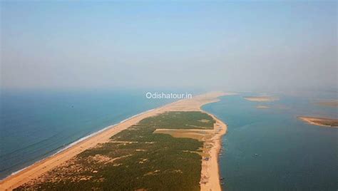 Odisha Tour | Satapada Chilika Lake, Irrawaddy Dolphin, Chilika, Puri