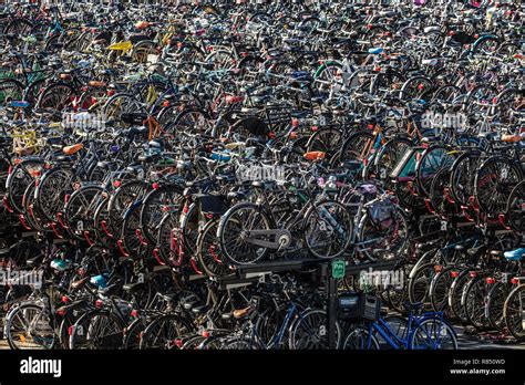 The Netherlands, Amsterdam, Central station, bicycle storage or parking Stock Photo - Alamy