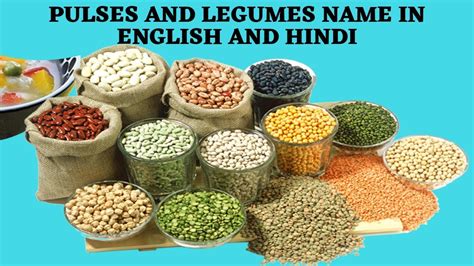 PULSES AND LEGUMES NAME IN ENGLISH AND HINDI. - YouTube