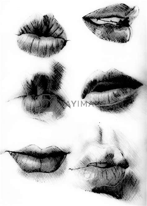 Tutorial lesson drawing human mouth and lips. Drawing smiles and lips. by DePo Vectors ...