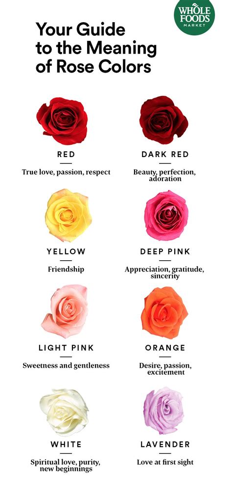 Rose Color Meanings Chart