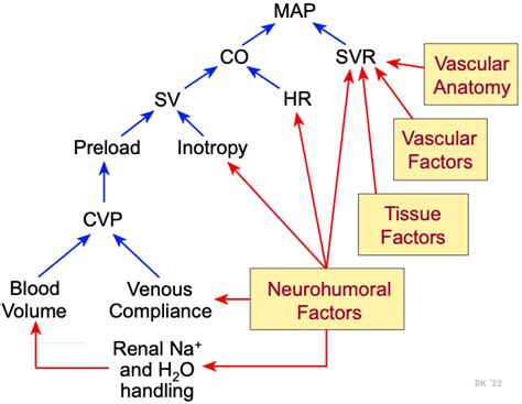 Elevated Mean Arterial Pressure