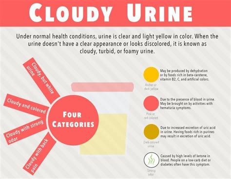 Does Vitamin D Cause Smelly Urine