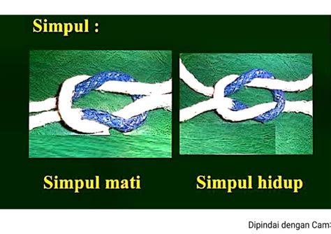 Simpul Mati Dan Hidup | PDF