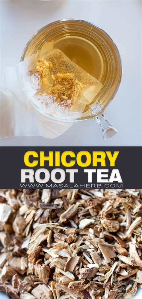 Chicory Root Tea (+VIDEO) | MasalaHerb.com