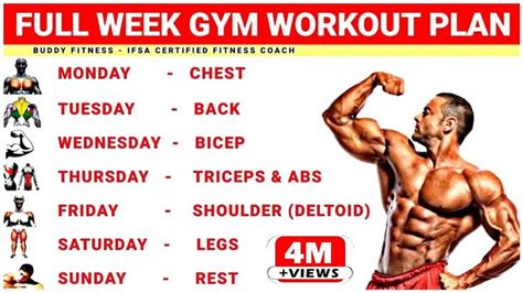 Full Week Gym Workout Plan | Week Schedule For Gym Workout | Buddy Fitness | Workout plan gym ...