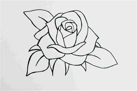 doodle rose drawing - Google Search