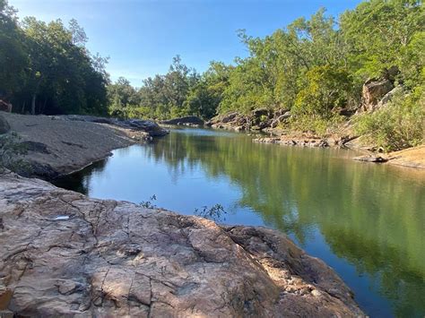 New camping area for Alligator Creek | The National Tribune