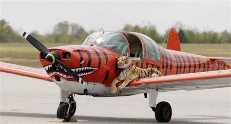 Flying Tigers land at Auburn airport | Local News | oanow.com