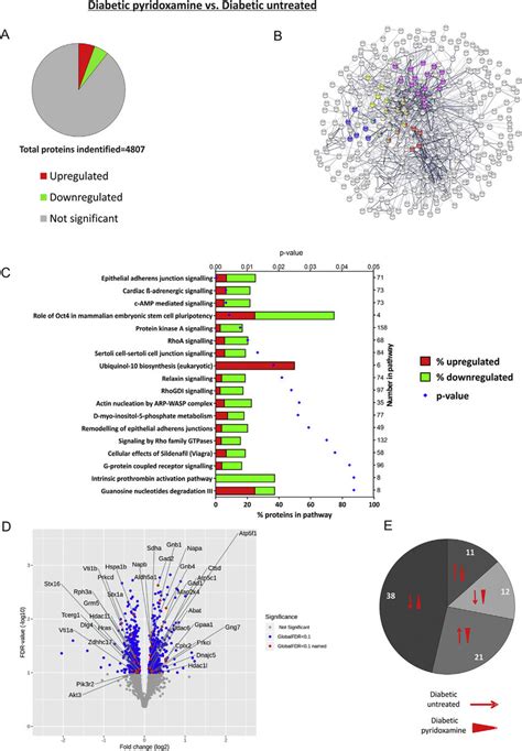 Proteomic pathway analysis reveals alterations in... | Download ...