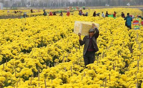 China Agriculture Map