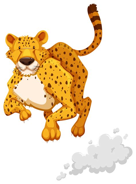 Cheetah 367074 Vector Art at Vecteezy