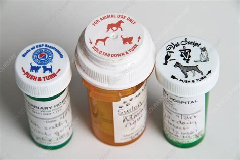 Pet Medicine - Stock Image - C027/8219 - Science Photo Library