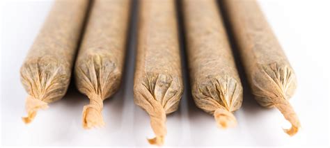 Blunt Vs Joint Vs Spliffs- 5 Ways They Are Different