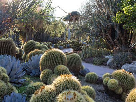 8 Cactus Gardens in L.A. for Succulent Obsessives