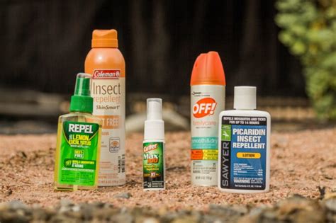 How To Protect Yourself From Bugs And Ticks When Hiking (July, 2024)