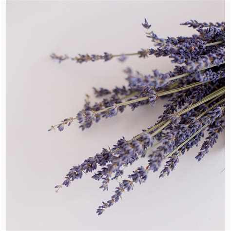 Cotswold Lavender Online Gift Card