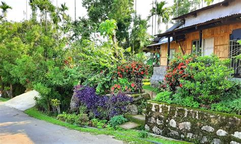 Mawlynnong Village - 8 Things To Know Before You Visit