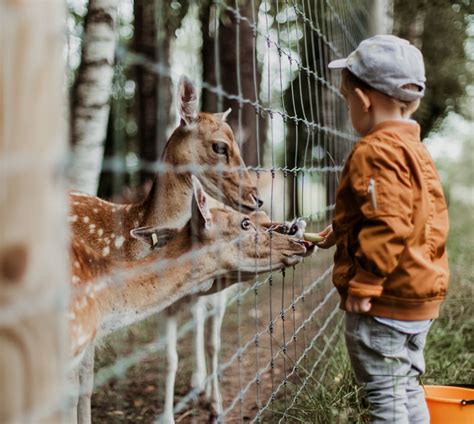 Zoos, Wildlife Parks and Safari Parks in Pembrokeshire, Wales, UK ...