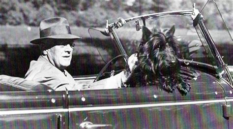 Fala – FDR’s Beloved Scottish Terrier - The Knoxville Focus