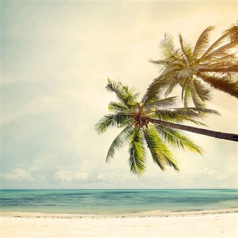 Beach Posters: A Piece of Natural Beauty in Your Home Wall Decor – PrintMePoster.com Blog