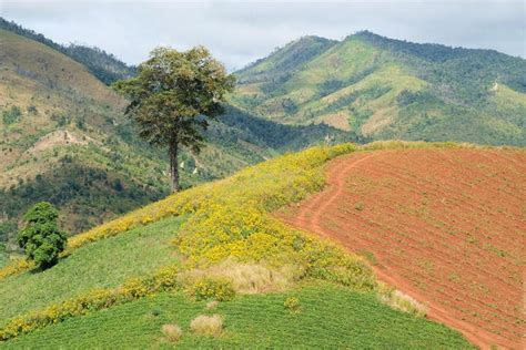 Wild beauty of Chu Dang Ya Volcano | Vietnam Times