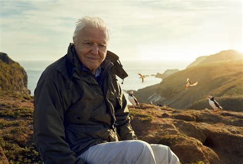 8 of the best David Attenborough documentaries and where to watch them - BBC Science Focus Magazine