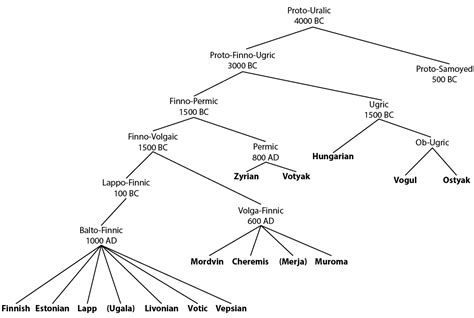 Magyar Bagoly: The brief history of the Hungarian language