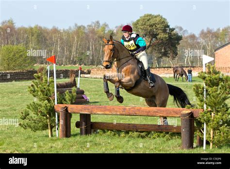 Horse jumping over fence at a British Eventing competition Stock Photo - Alamy