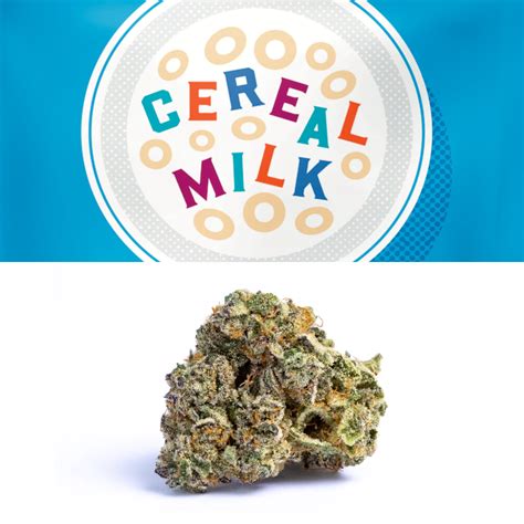 Cereal Milk - 3.5g - Cookies Florida