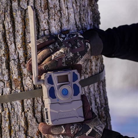 Tactacam Reveal X Trail Camera - Buck.It Ready