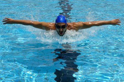 Swimming Technique of the Butterfly Stroke