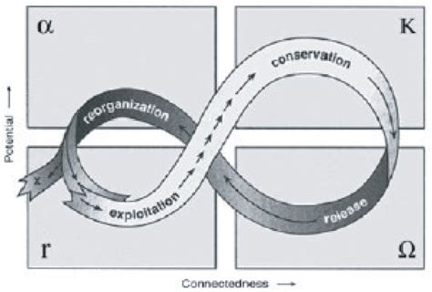 The panarchy cycle Source: Gunderson and Holling, (Eds). Panarchy | Download Scientific Diagram