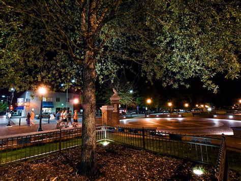 New season, new life for Toomer’s Corner trees at Auburn | USA TODAY Sports