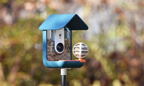 Bird Buddy: A Smart Bird Feeder