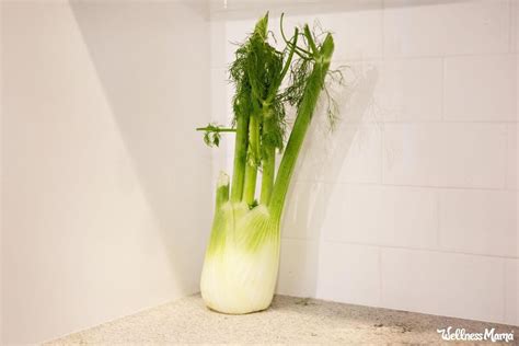 14 Delicious Uses for Fennel (+ Health Benefits) | Wellness Mama