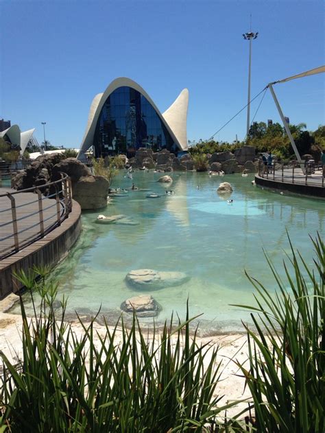 Valencia aquarium best in world